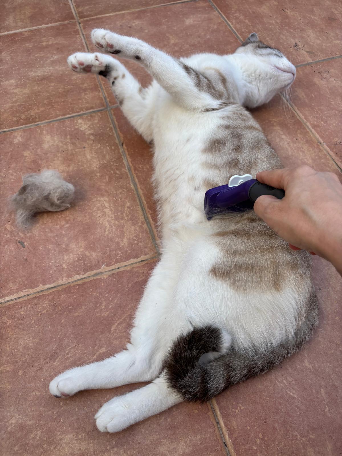 Beni y Camús, cuidado a domicilio en Valencia