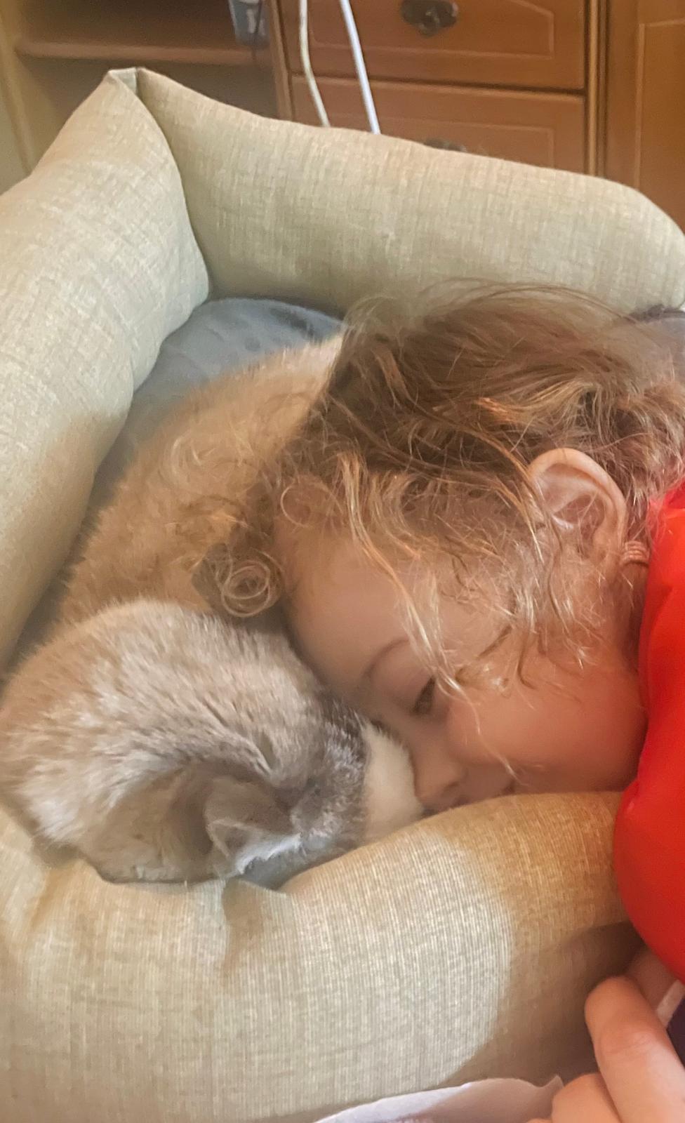 Ludo abrazando a la familia