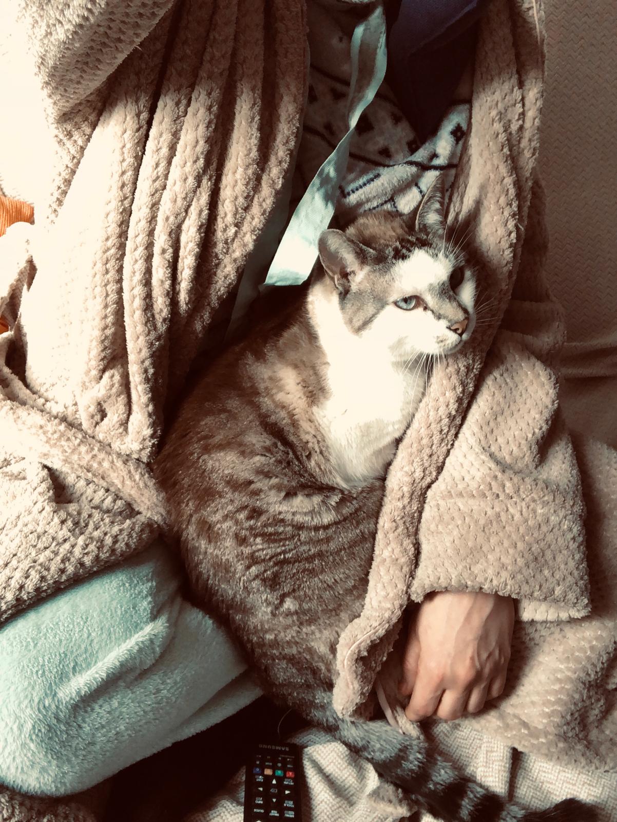 Ludo acurrucado en su mantita